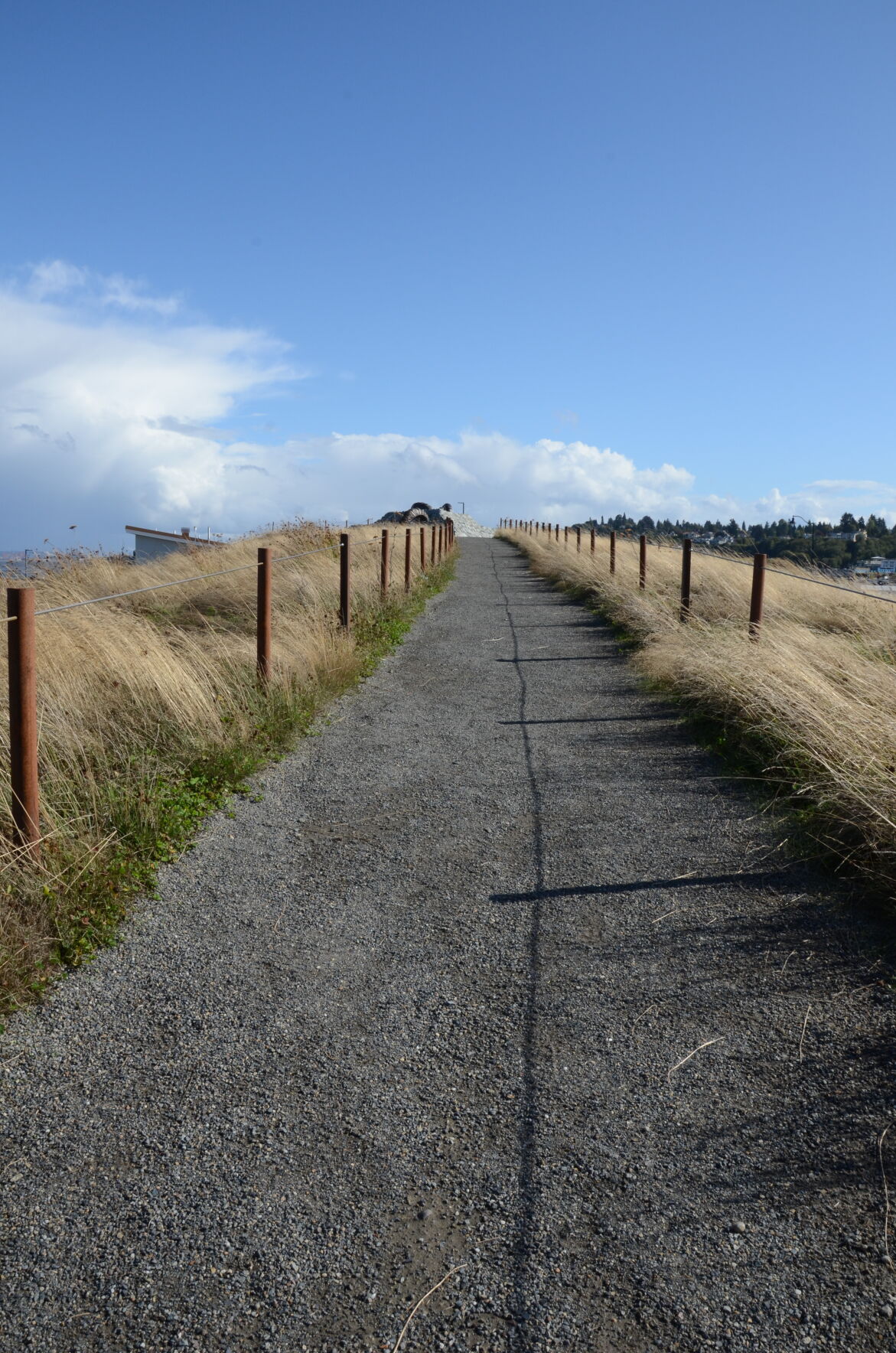 DSC_8167.JPG
